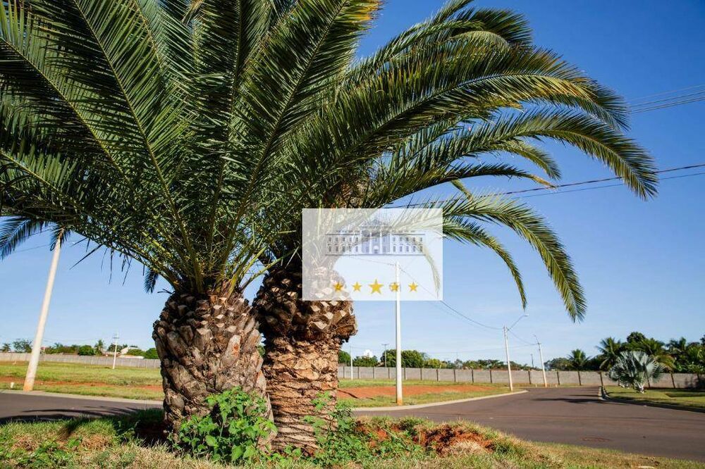 Loteamento e Condomínio, 360 m² - Foto 2