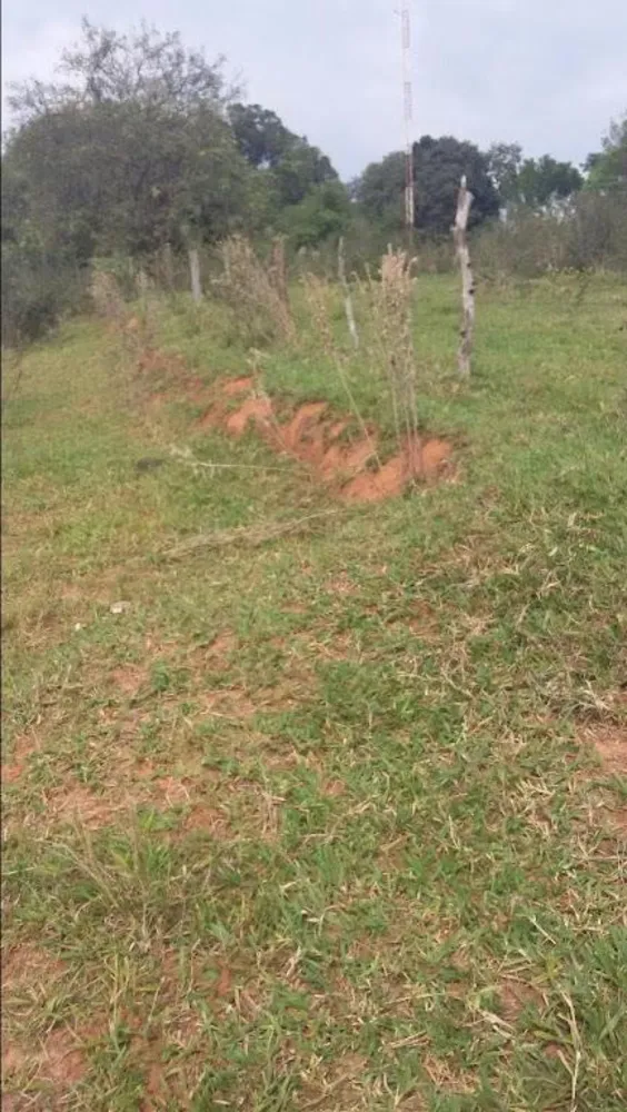 Terreno, 4 hectares - Foto 1