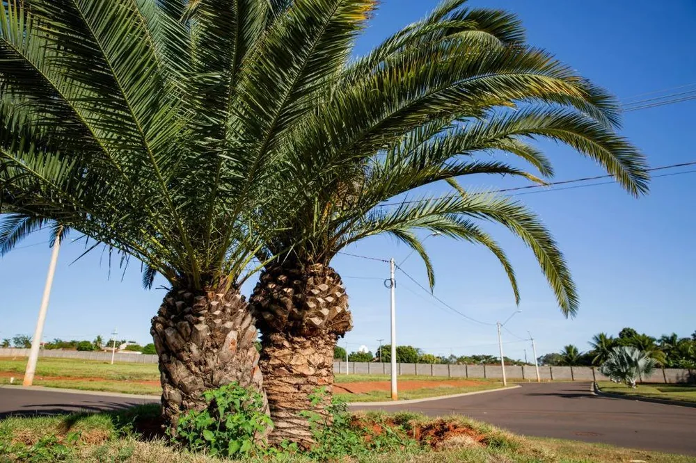 Terreno, 360 m² - Foto 1
