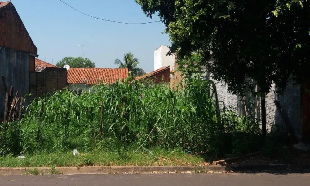Terreno, 257 m² - Foto 1