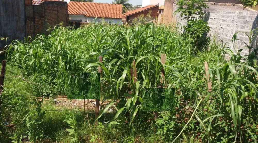 Terreno, 257 m² - Foto 2