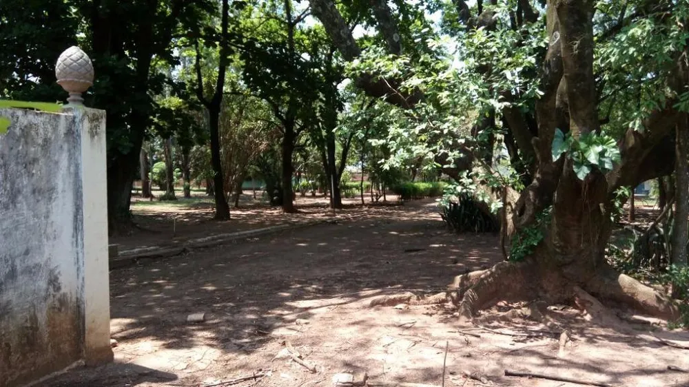 Terreno, 2 hectares - Foto 2