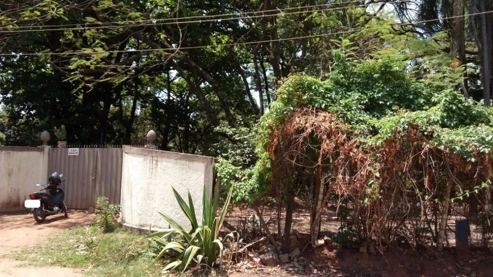 Terreno, 2 hectares - Foto 4