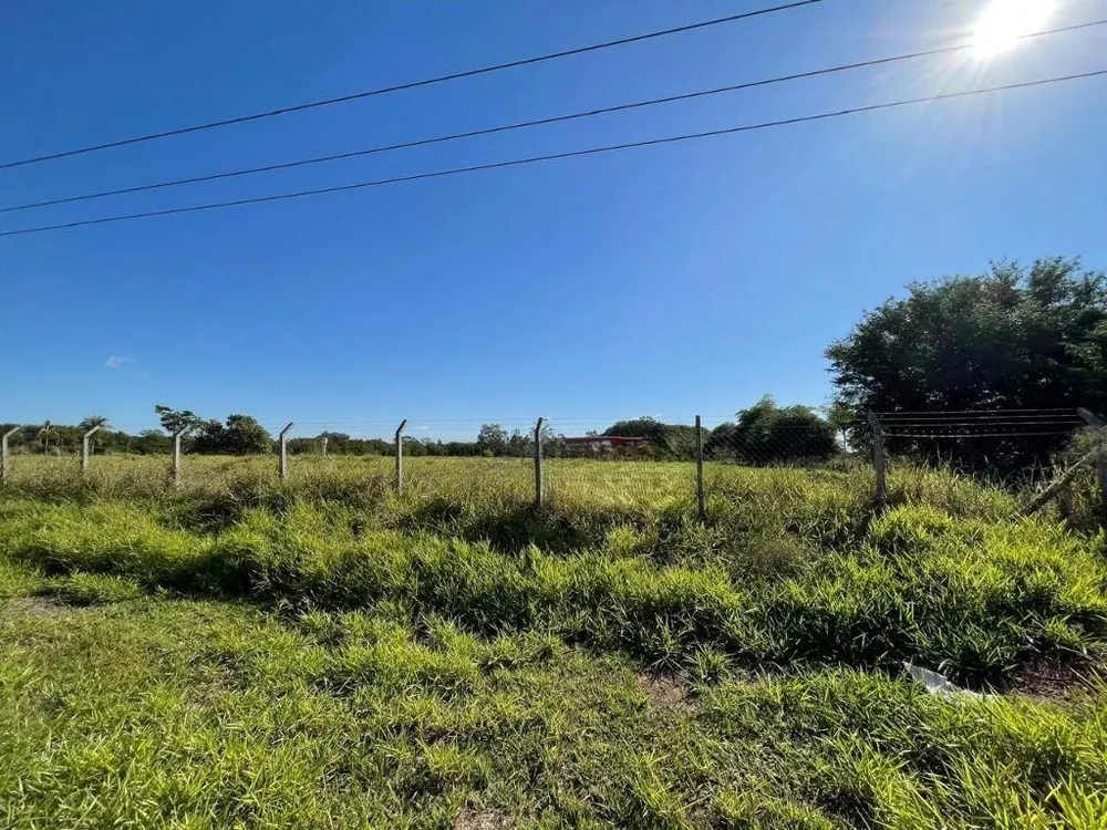 Chácara, 4 hectares - Foto 1