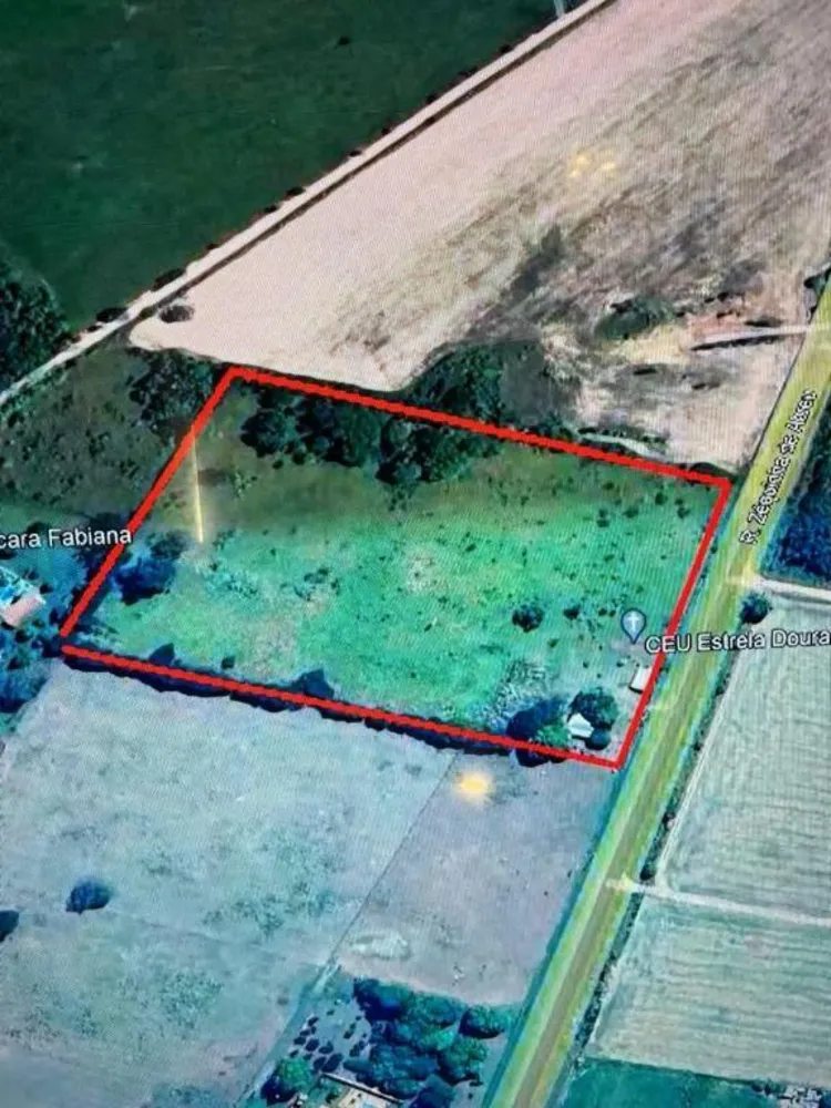 Chácara, 4 hectares - Foto 4