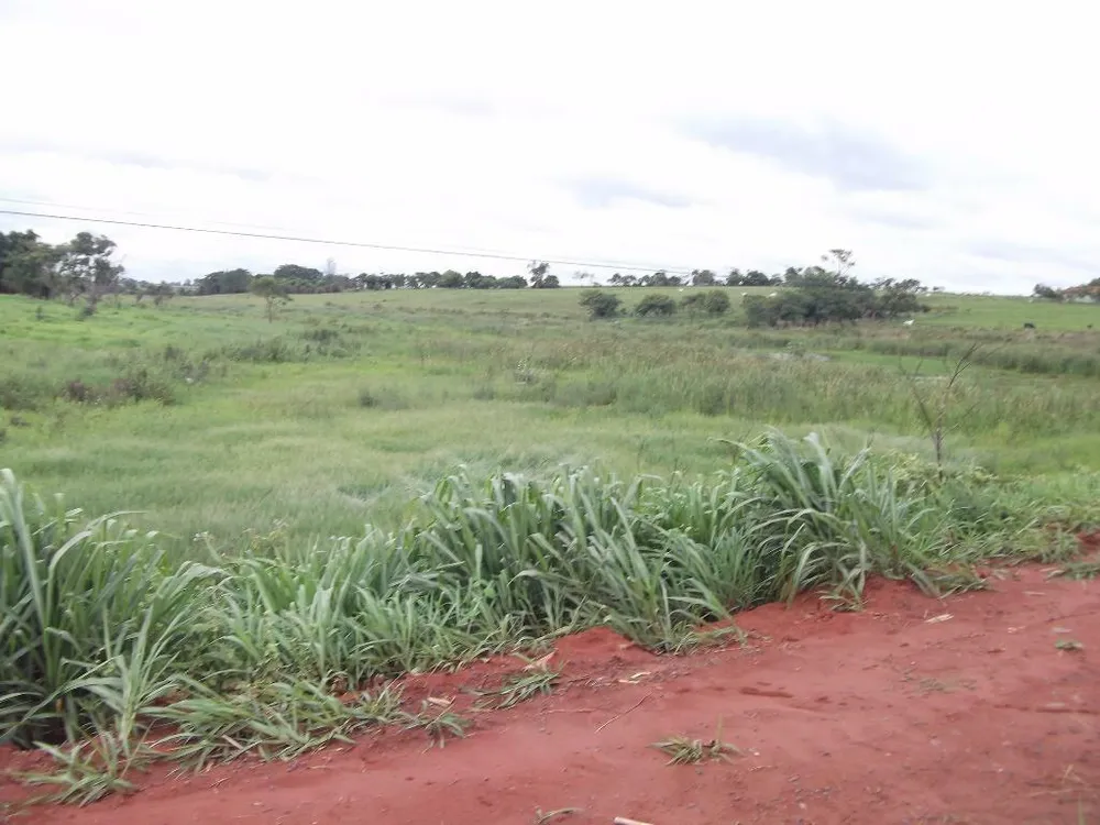 Terreno, 15 hectares - Foto 4