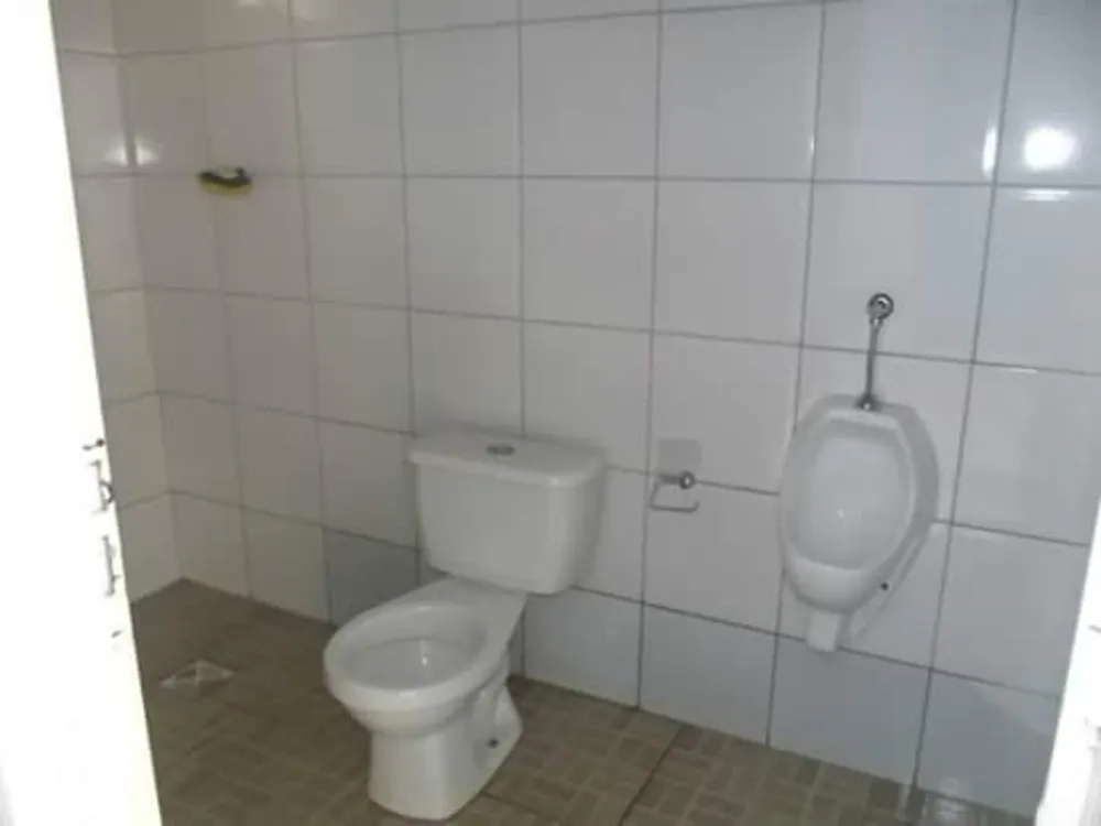 Chácara, 1 quarto, 3100 m² - Foto 3