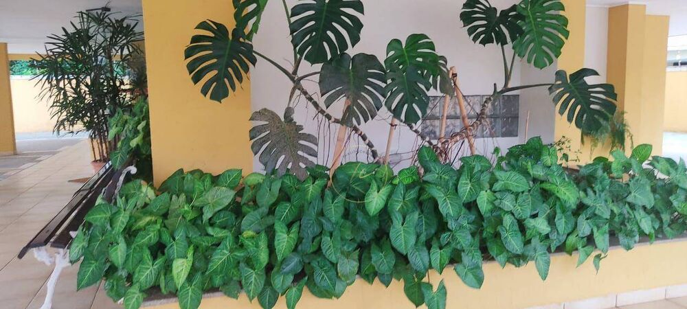 Apartamento, 3 quartos, 176 m² - Foto 8