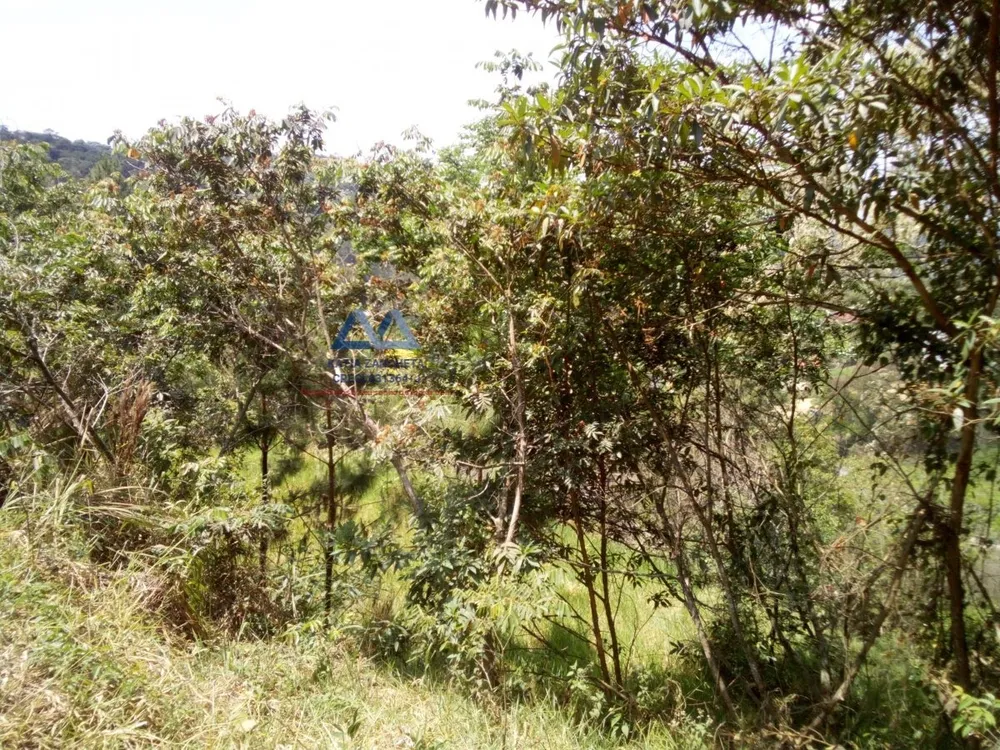 Terreno, 1295 m² - Foto 4