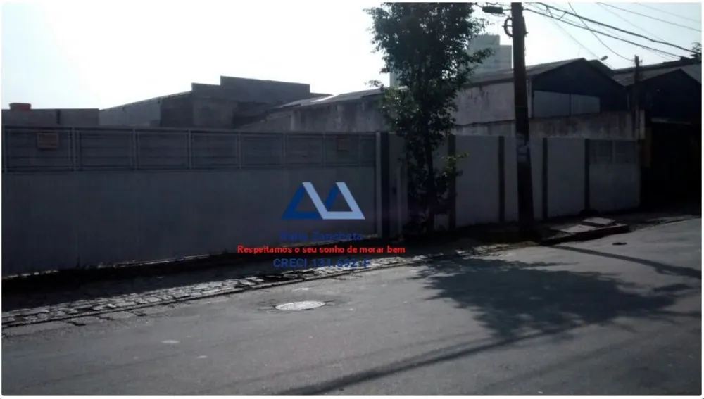 Sala-Conjunto, 700 m² - Foto 3