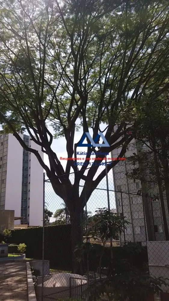 Apartamento, 2 quartos, 64 m² - Foto 3