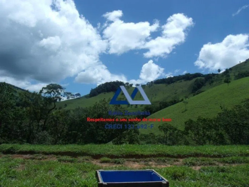 Fazenda, 300 hectares - Foto 3