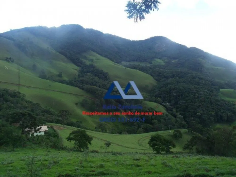 Fazenda, 300 hectares - Foto 4