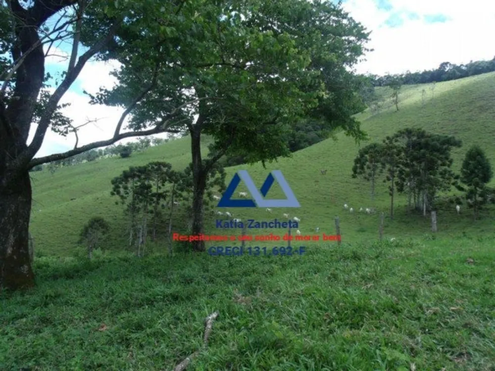 Fazenda, 300 hectares - Foto 1