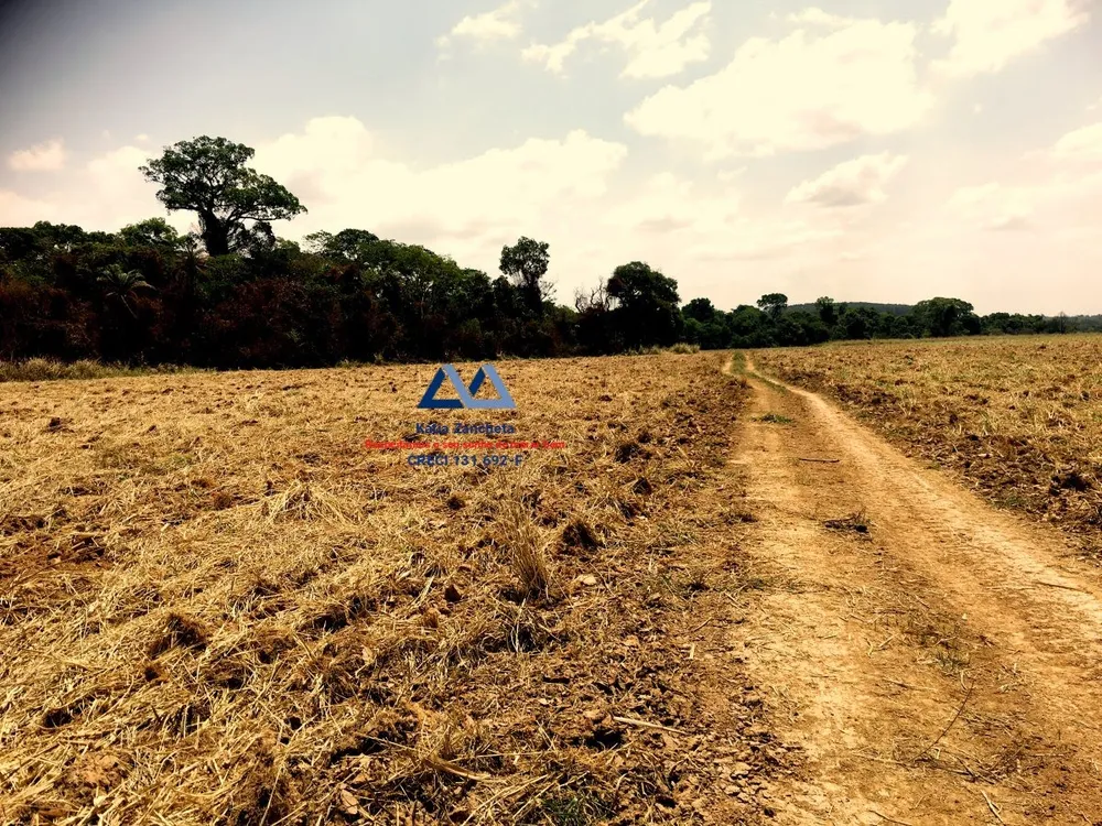 Fazenda, 491 hectares - Foto 4