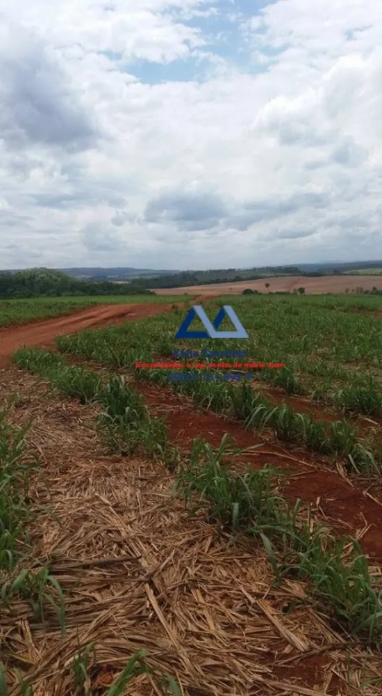 Fazenda, 491 hectares - Foto 2