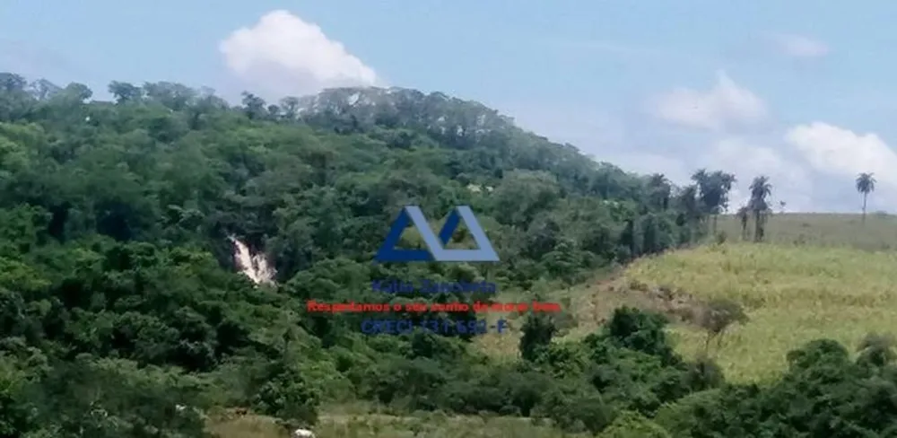 Fazenda, 491 hectares - Foto 3