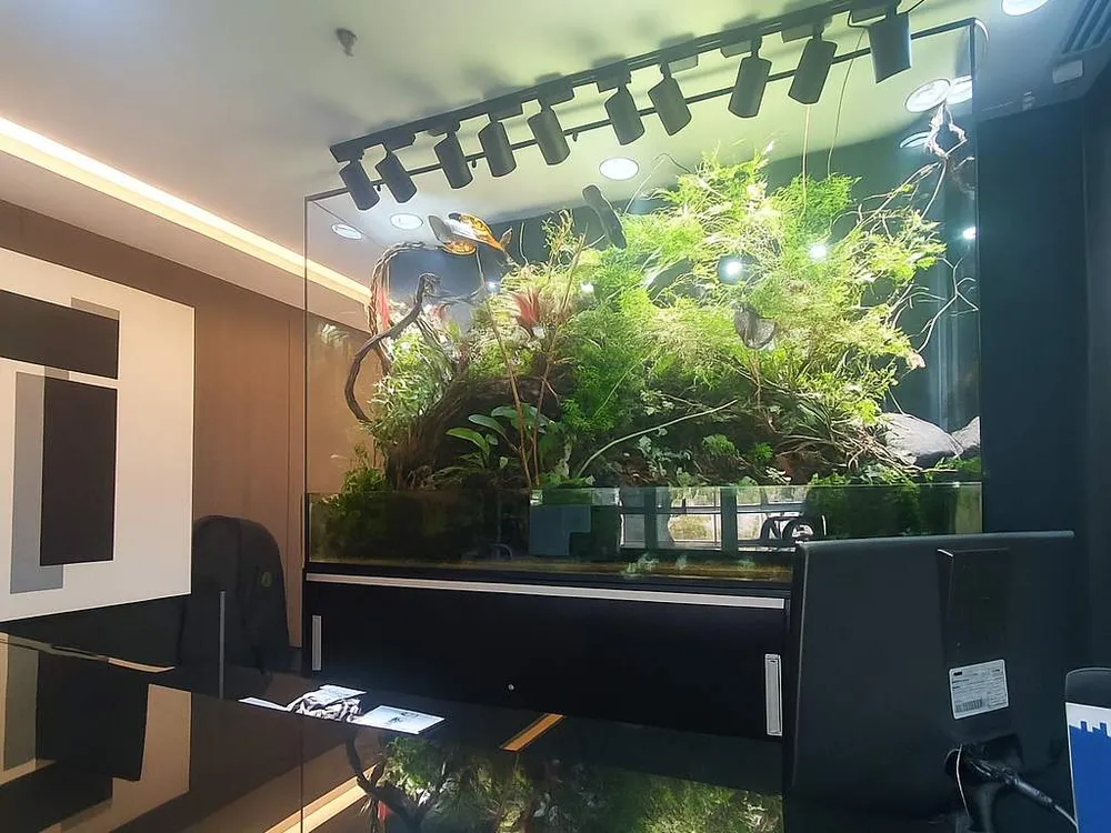 Prédio Inteiro, 132 m² - Foto 7