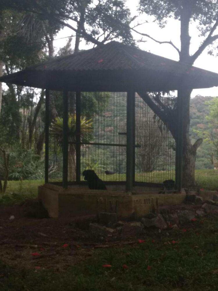 Chácara, 2 quartos, 1 m² - Foto 3
