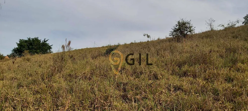 Terreno, 1 hectares - Foto 4
