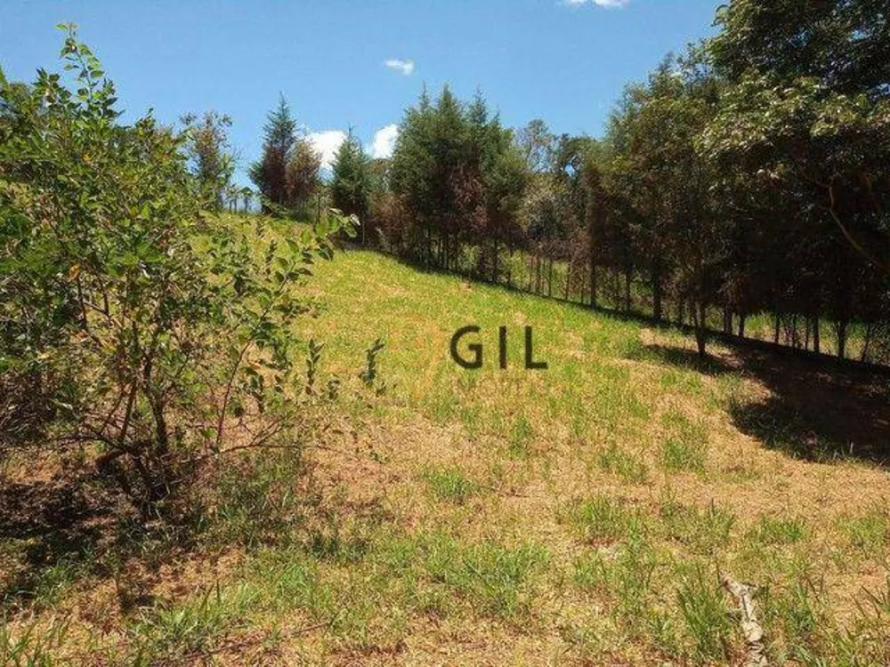 Terreno, 1070 m² - Foto 2