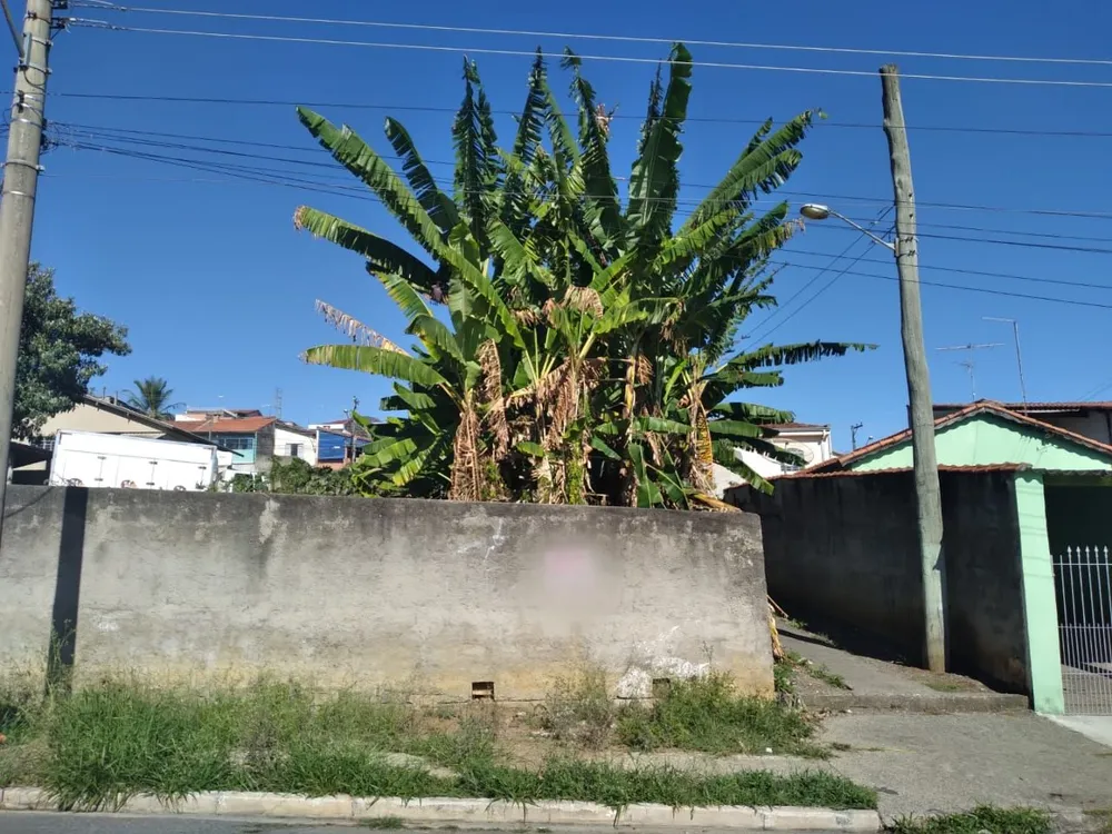 Terreno, 1500 m² - Foto 3