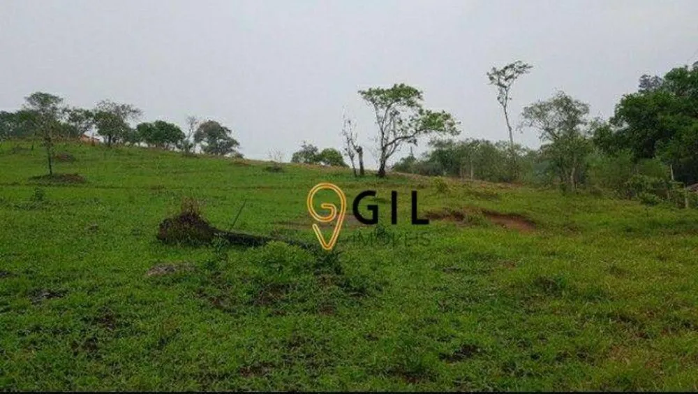 Terreno, 2 hectares - Foto 1