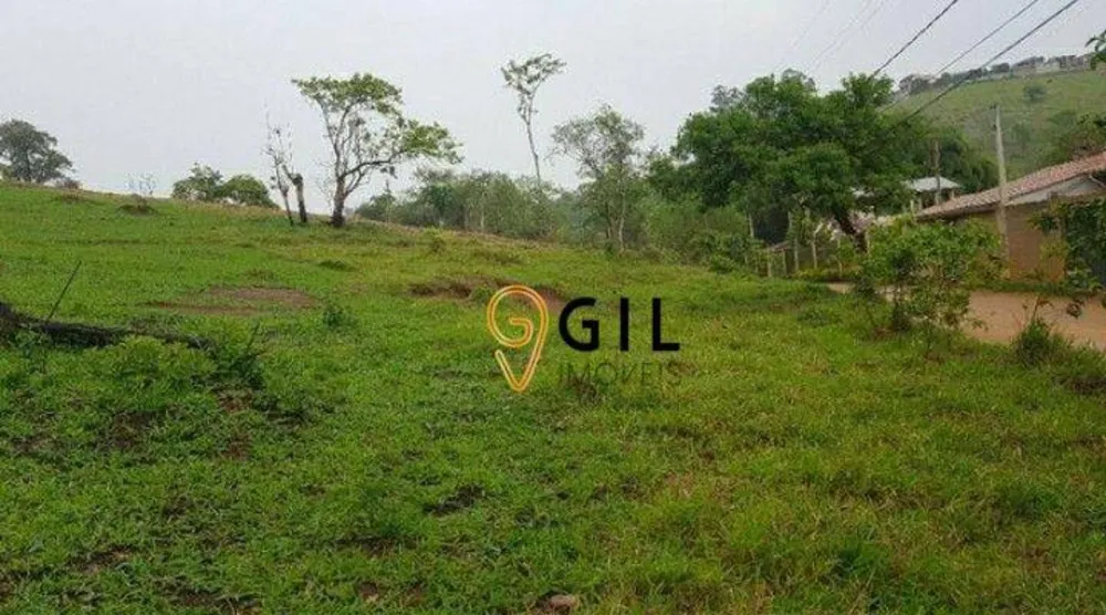 Terreno, 2 hectares - Foto 4