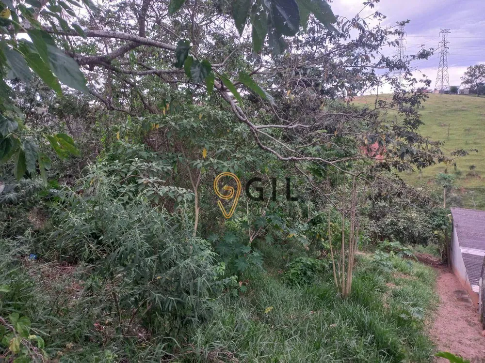 Terreno, 1200 m² - Foto 4