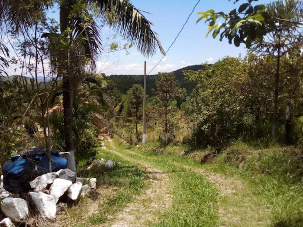 Chácara, 4 quartos, 1 hectares - Foto 4