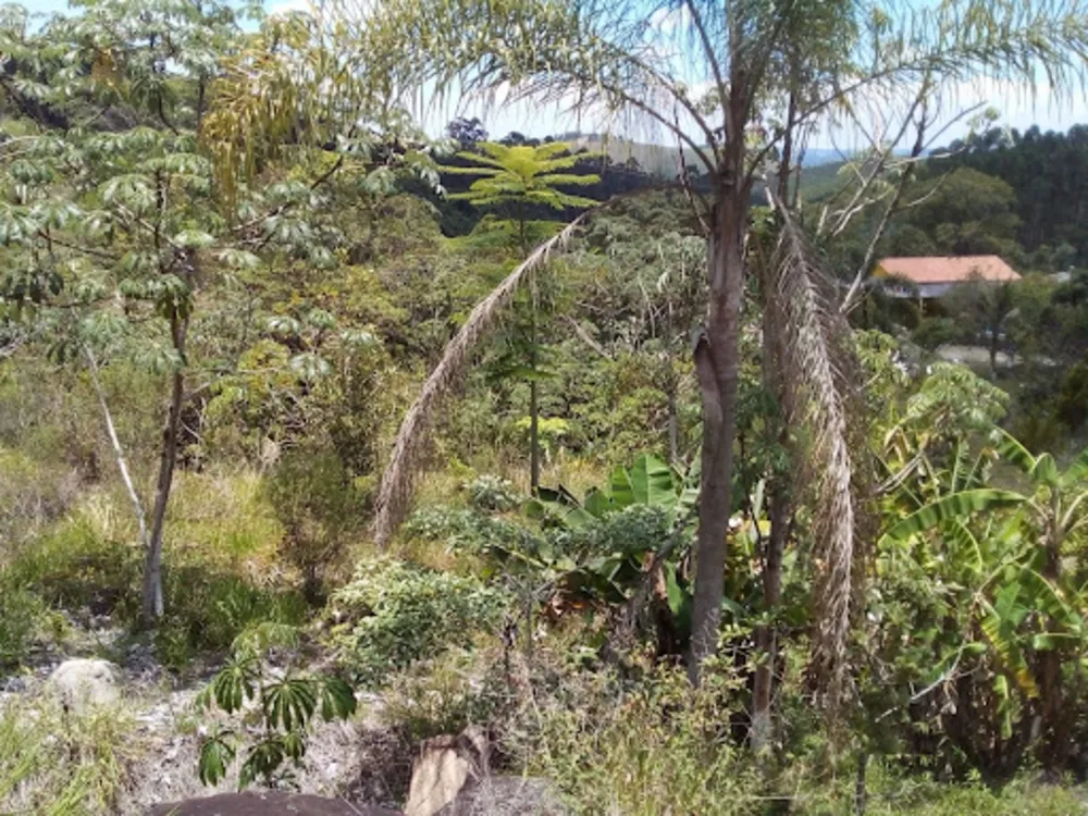 Chácara, 4 quartos, 1 hectares - Foto 2