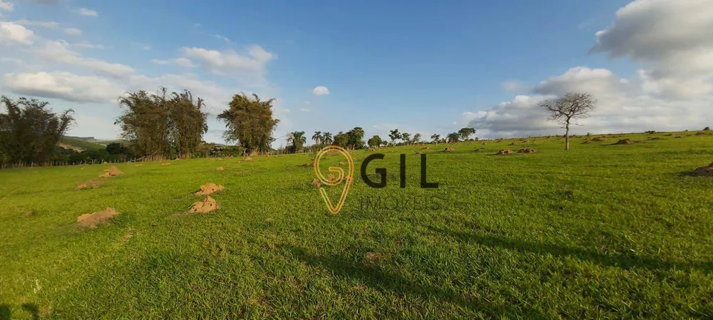 Terreno, 65 hectares - Foto 2