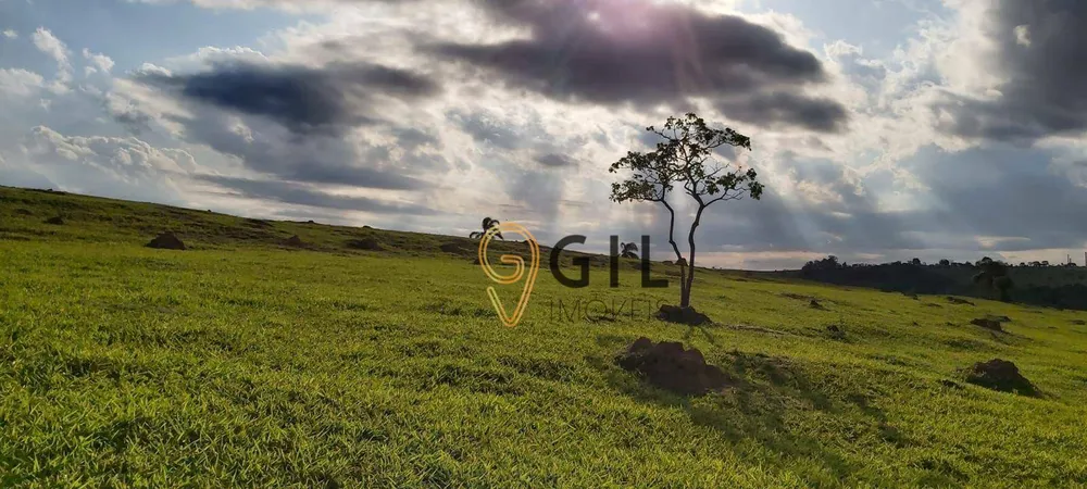 Terreno, 65 hectares - Foto 1
