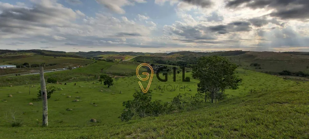 Terreno, 65 hectares - Foto 3