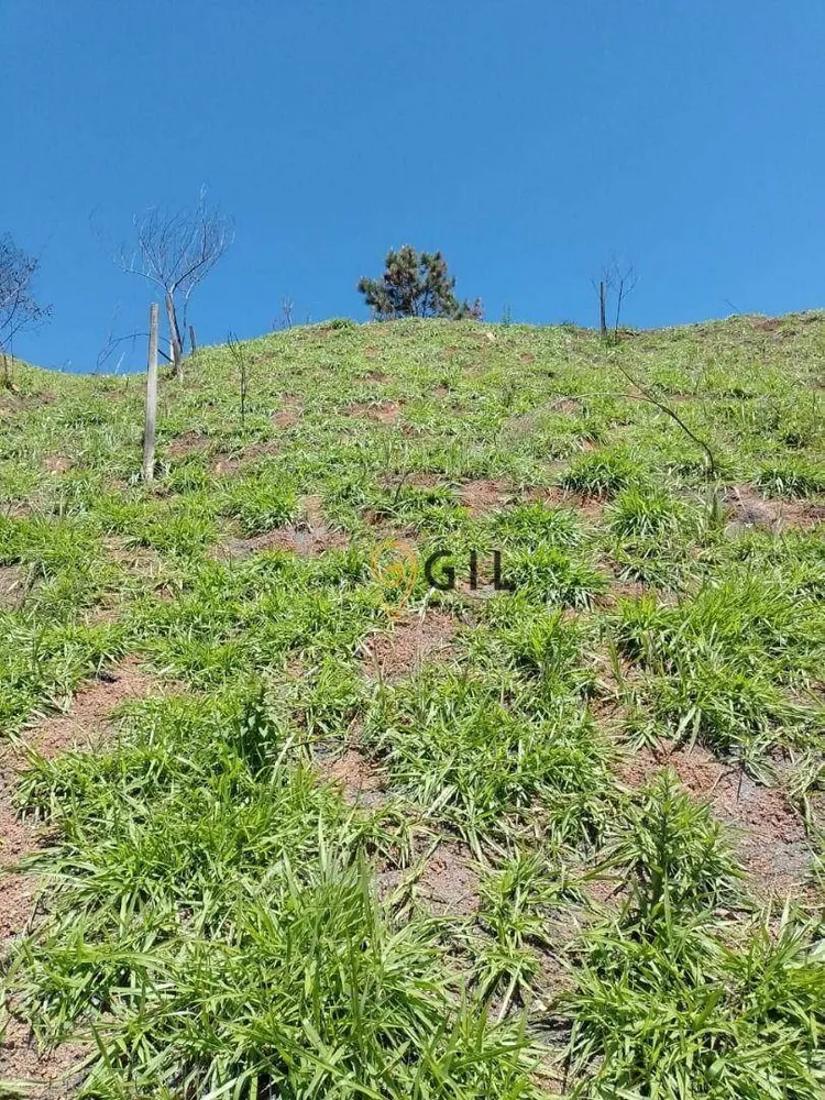 Terreno, 459 m² - Foto 4