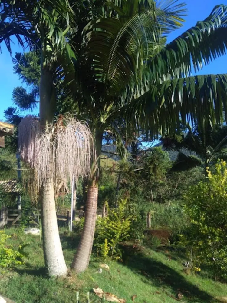 Chácara, 4 quartos, 3000 m² - Foto 4