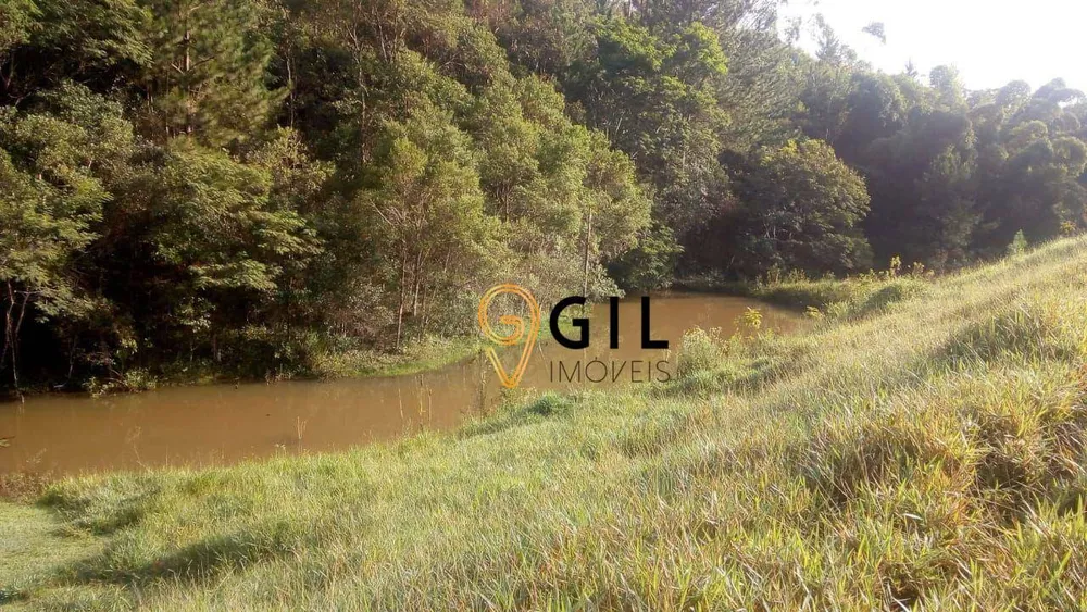 Terreno, 3 hectares - Foto 3