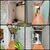 Casa, 3 quartos, 160 m² - Foto 4