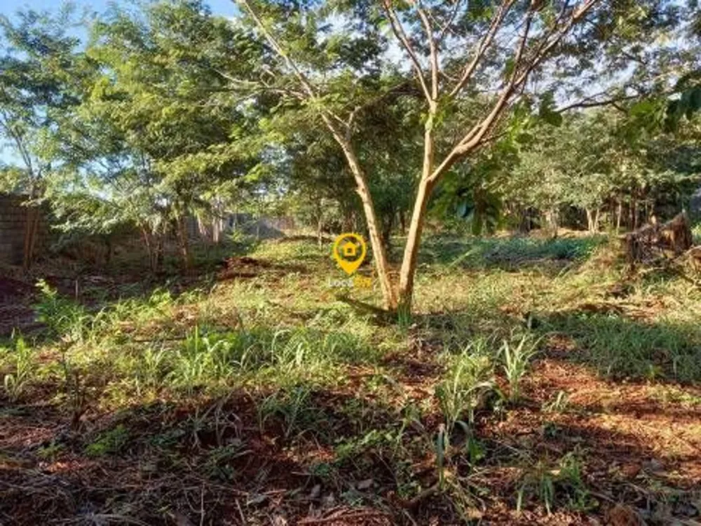 Loteamento e Condomínio, 3000 m² - Foto 14