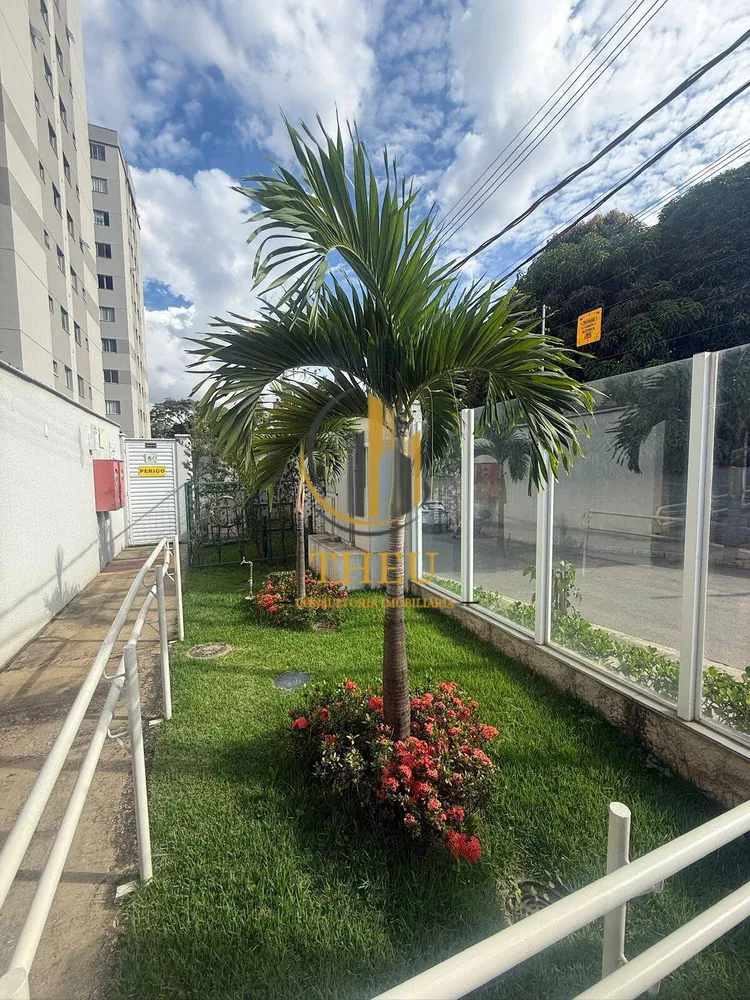 Apartamento - Foto 4
