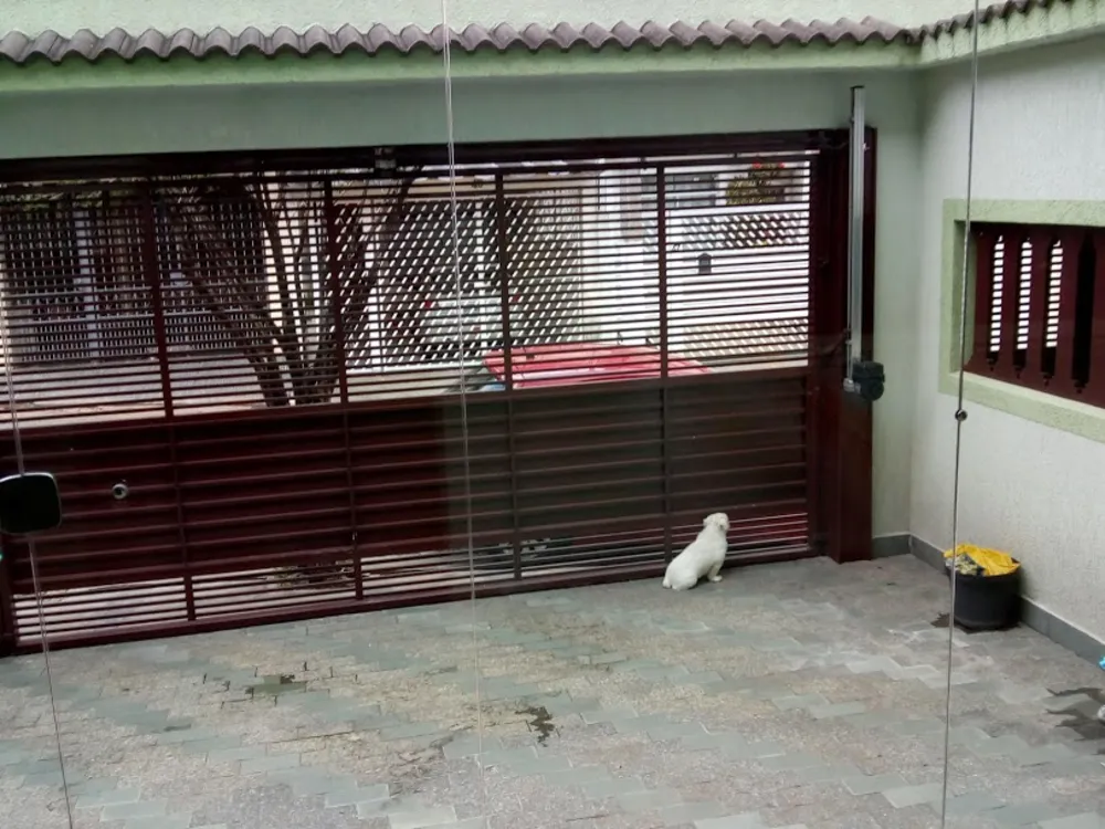 Casa, 4 quartos, 300 m² - Foto 3