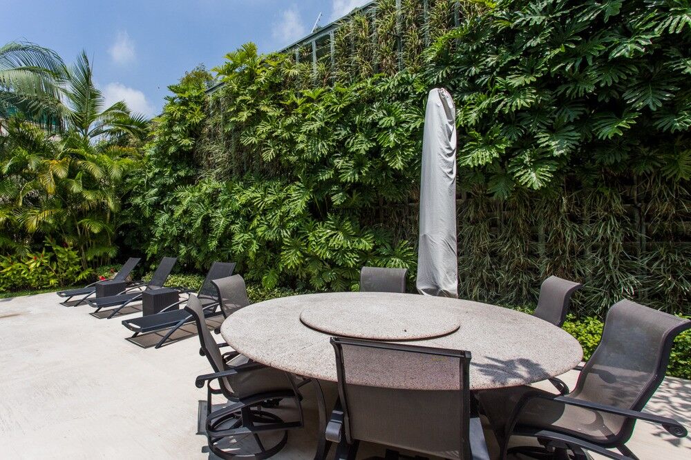 Casa, 4 quartos - Foto 4