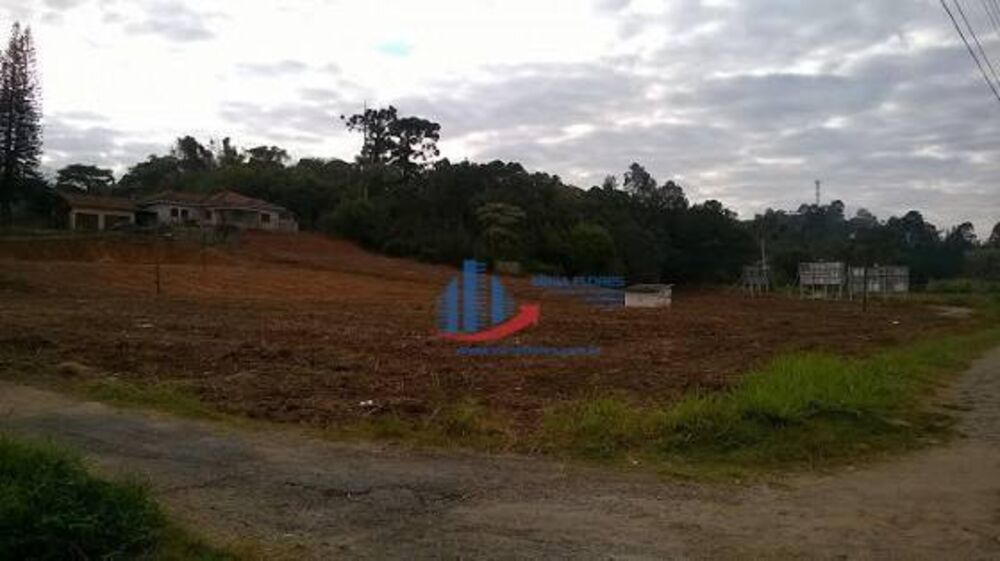 Terreno, 2 hectares - Foto 4