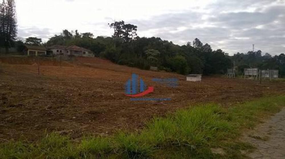 Terreno, 2 hectares - Foto 3