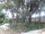 Terreno, 8200 m² - Foto 5