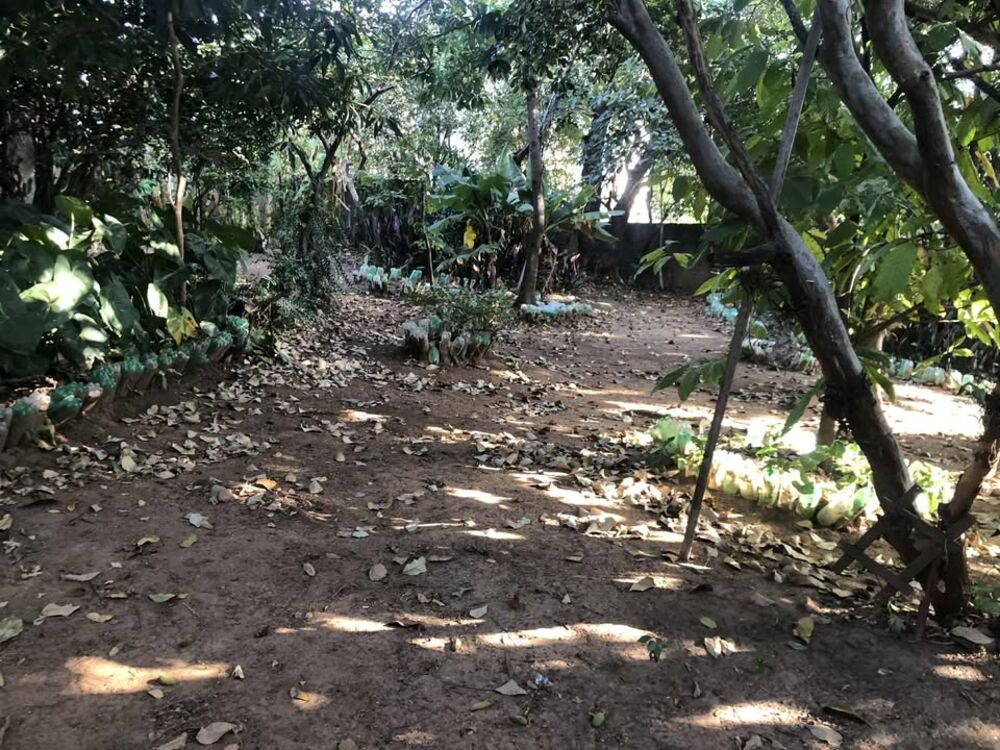 Terreno, 1676 m² - Foto 9