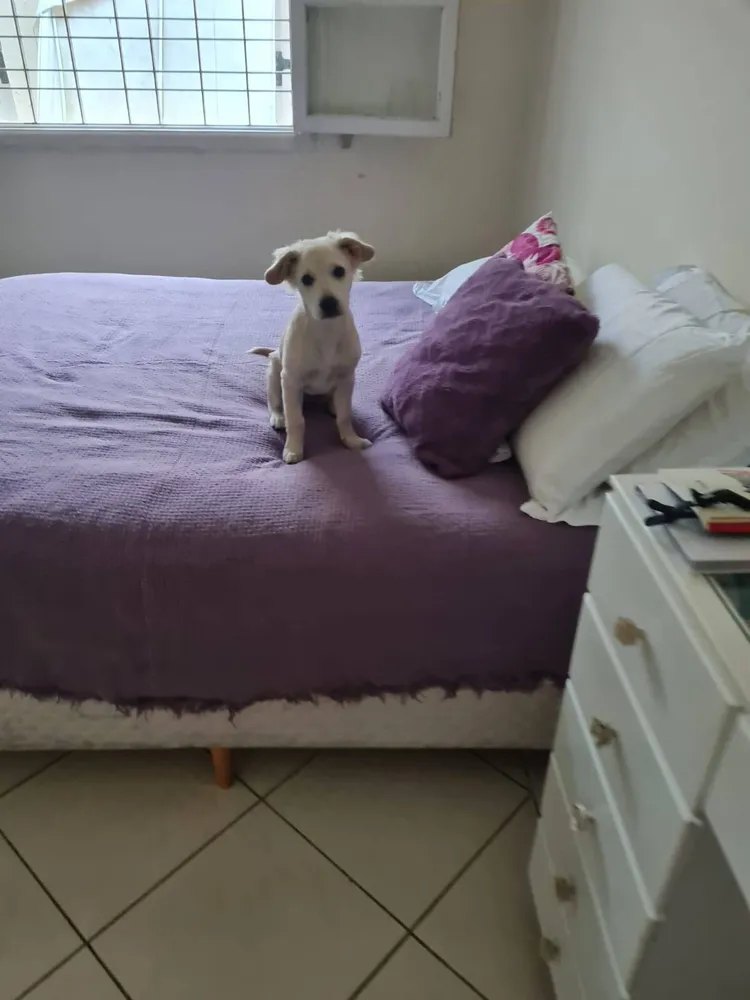 Casa, 3 quartos, 200 m² - Foto 1