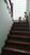 Casa, 4 quartos, 290 m² - Foto 3