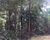 Terreno, 1700 m² - Foto 2