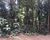 Terreno, 1700 m² - Foto 4